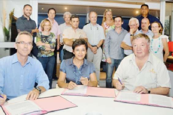 Massifs à trois têtes