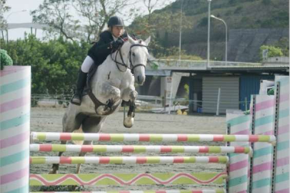 La surprise Dominique Seagoe