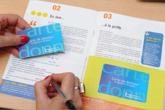 Don d'organes en comité