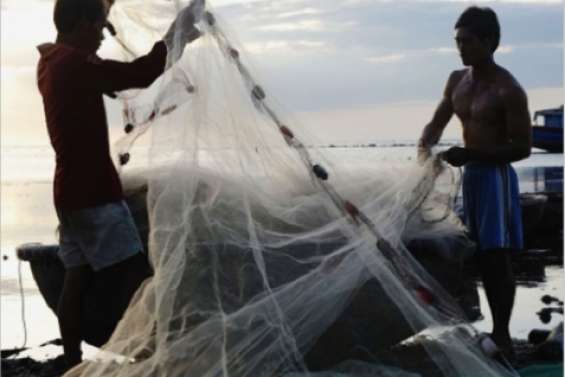 Paradis de la pêche illégale