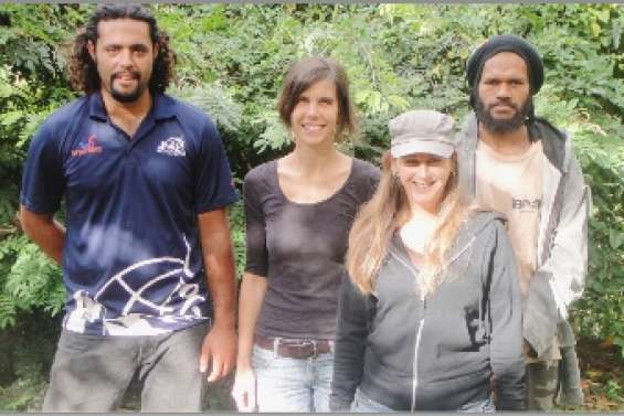 Le dessous  des ruches