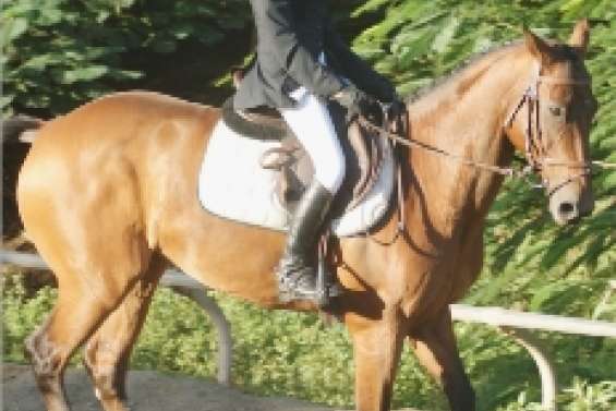 Gros programme à Magenta