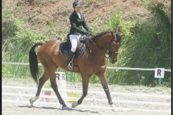 Des reprises de bon niveau