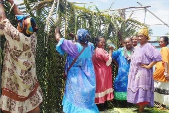 Le taro fait son numéro de charme