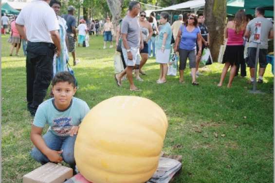 La courge du Broussard