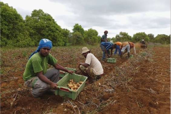 Le champ d'action s'élargit