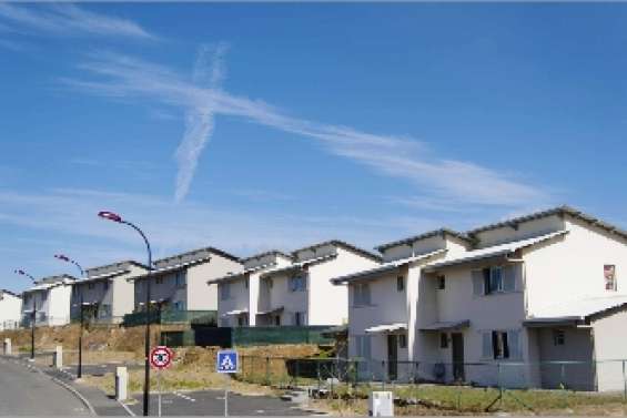 Les bons plants de Brigitte