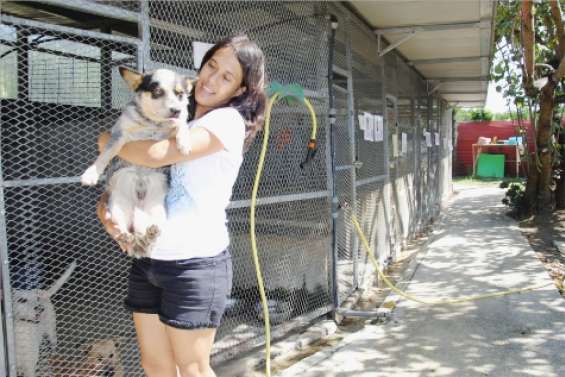 Offrez-leur des croquettes