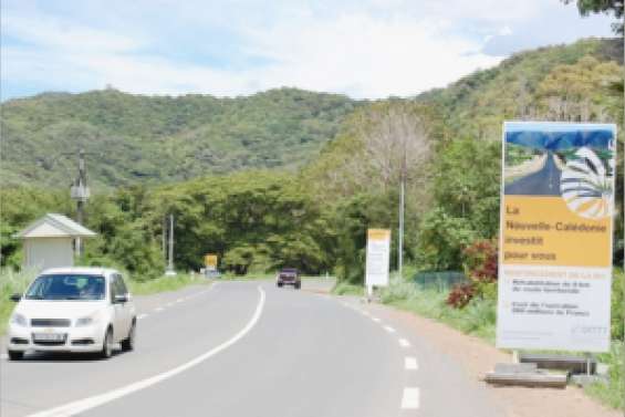 Toilettage sur la RT1