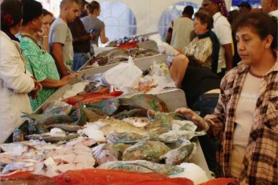 Les femmes du Nord rassemblées