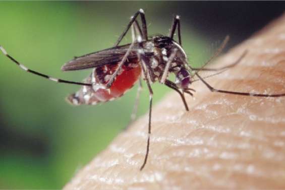 Attention, mutation ?