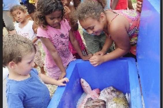 Poissons et letchis en plus