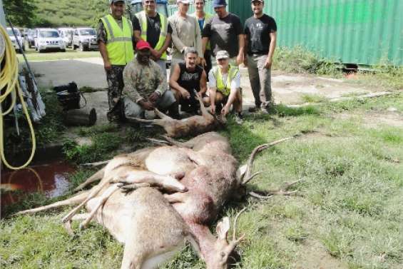 Un gros coup de chasse