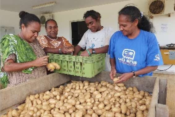 Marché de Noël à Traput