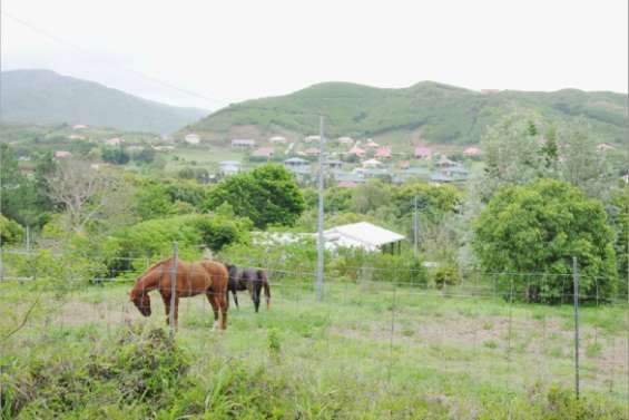Un lotissement de plus à Ondemia