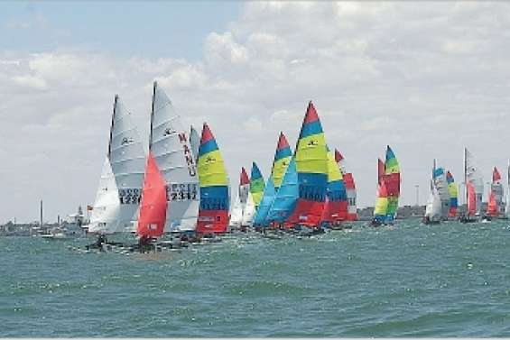 Les Cagous se montrent