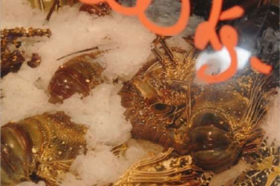 Des langoustes  à tout prix