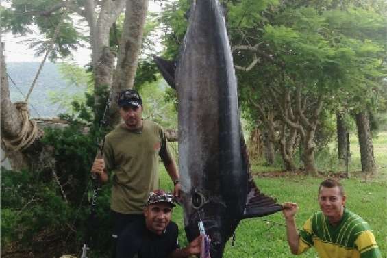 Belle prise de fin d'année