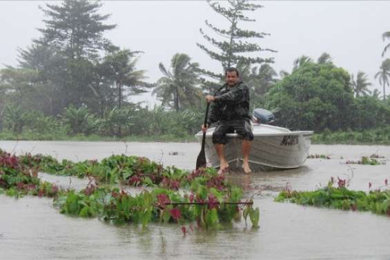 Freda sème la désolation