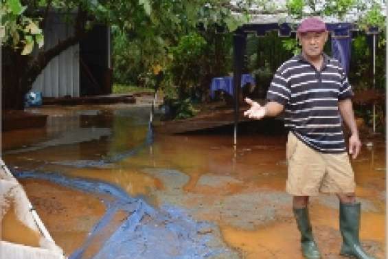 Freda moins violente que Vania
