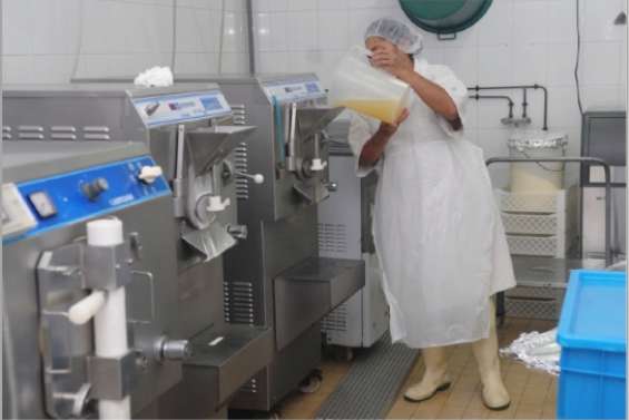 Artisans des plaisirs glacés