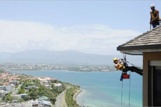 Les artisans araignées