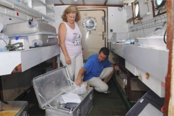 Des microalguesgorgées de promesses