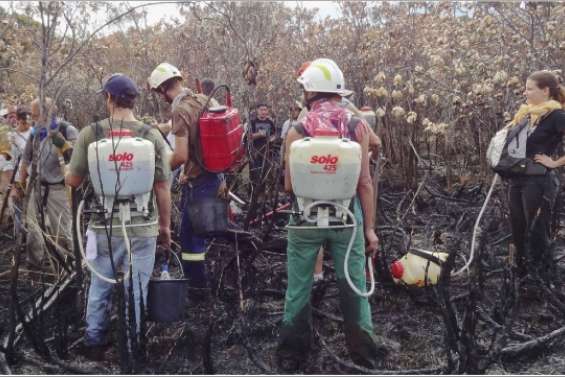 Un feu, des questions