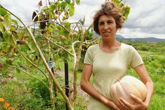 Des paniers bio via Internet