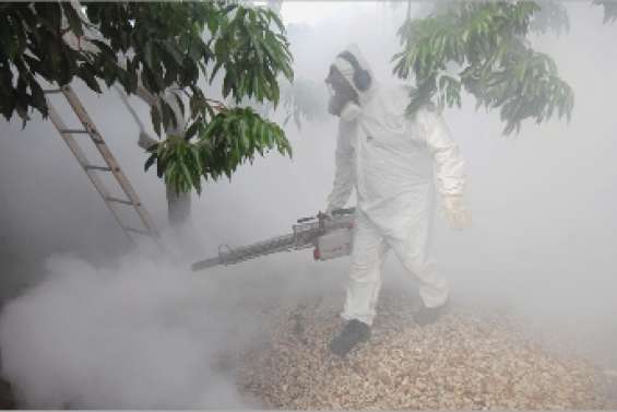 La dengue tape dans le 1000