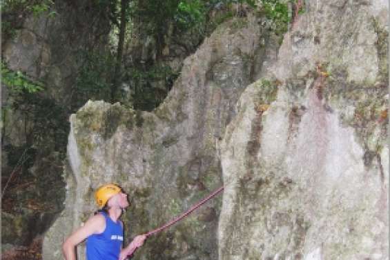 Elle monte, elle monte