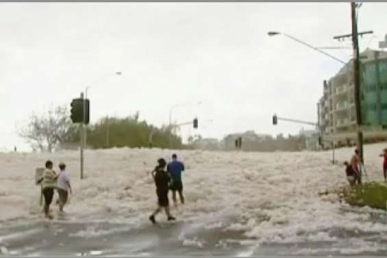 Une ville  sous la mousse