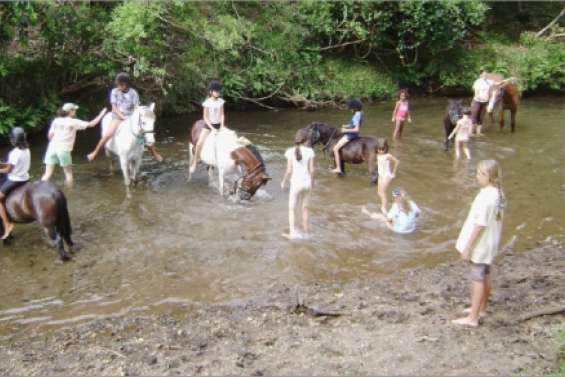 Du cheval avant la rentrée