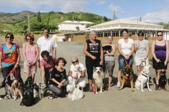 Un chien qui fait du bien