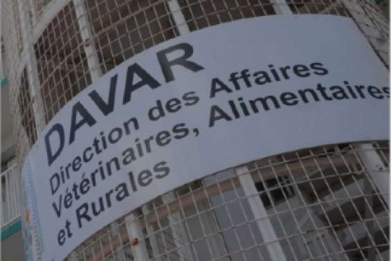 Le consommateur oublié