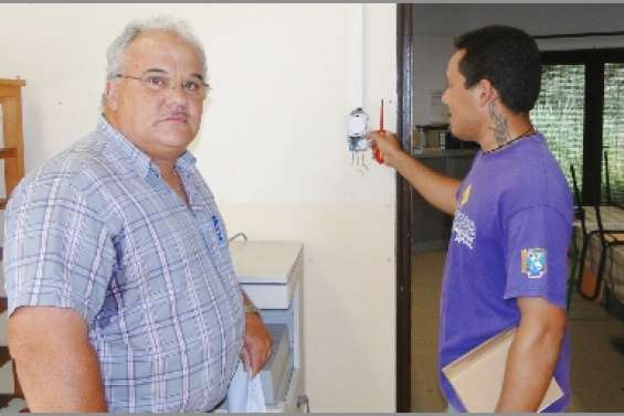 Les Lys d'eau dans la lumière