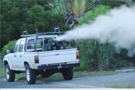 Bourail défie les moustiques