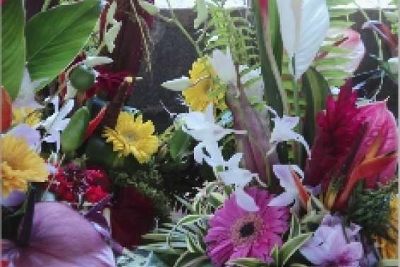 Les plantes font leur festival