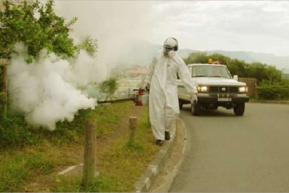 La dengue tue une femme