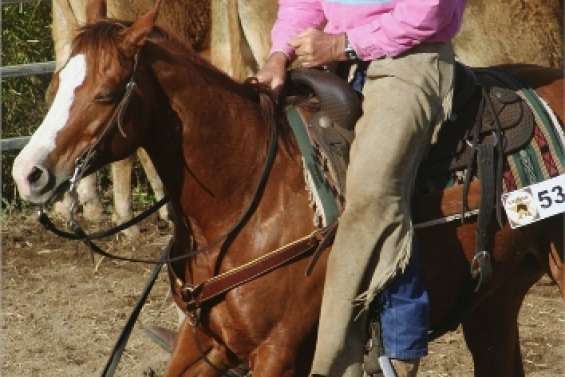 Un bond pour l'équitation