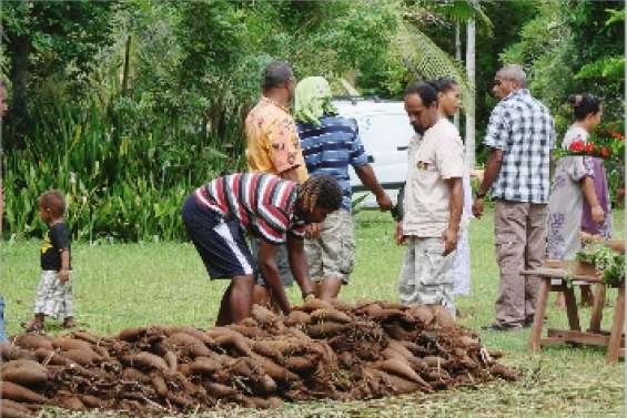 Les vrombissements sont de retour