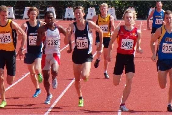 Les Bronzés à Auckland