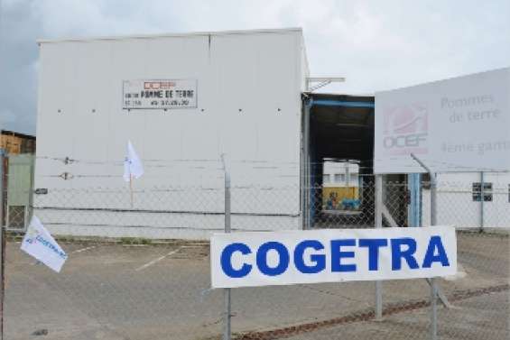 La pomme de terre n'a plus la frite