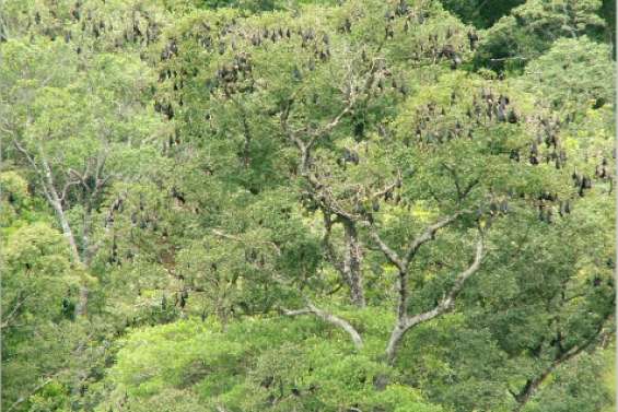 Une chasse bien gardée