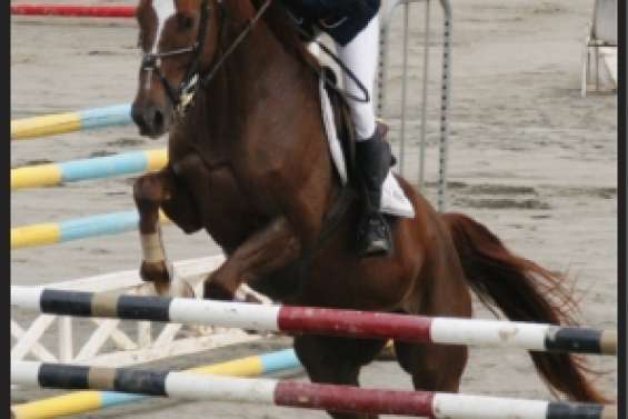 Camélia Brotons sans-faute