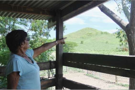 Isolés face au braconnage