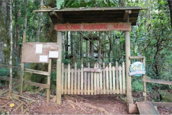 Les Koghis devant le tribunal