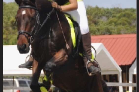 Llido et Pélissier ont assuré