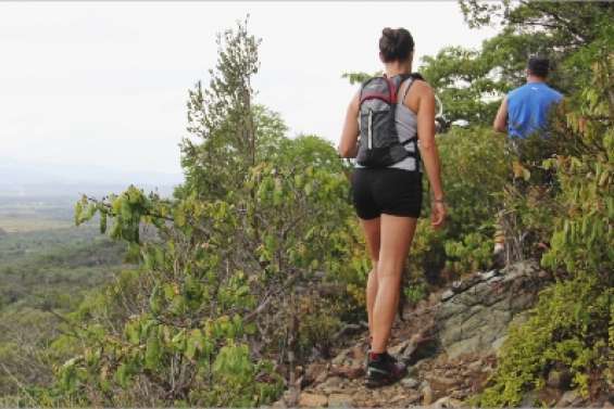 Un chemin tout tracé