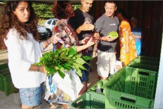 Paniers bio, saison 2